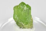 Green Olivine Peridot Crystal Cluster - Pakistan #183952-2